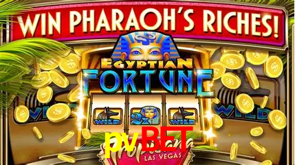 pvbet Rio de Janeiro - Bonus Terms