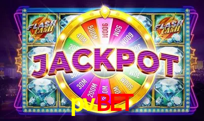 pvbet Salvador - Studio Tour